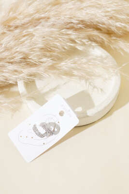 Pazarium - Mini Taşlı Kıkırdak Küpe Gümüş