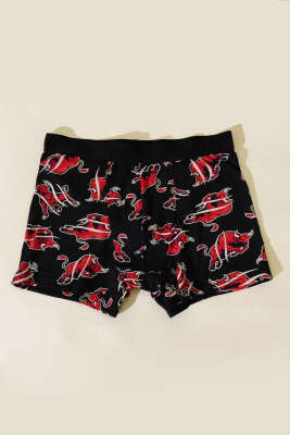 Empirme Erkek Boxer Asorti 1 - Thumbnail