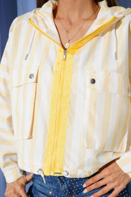 Çİft Cepli Çizgili Ceket Sarı - Thumbnail