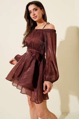 Pazarium - Kayık Yaka Transparan Şifon Mini Elbise Gül Kurusu