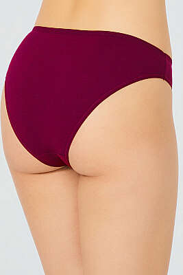5'li Basic Bikini Külot Renkli 2 - Slip Külot