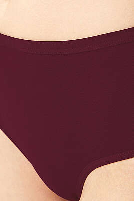 5'Li Geniş Kenarlı Külot Renkli 2 - Slip Külot