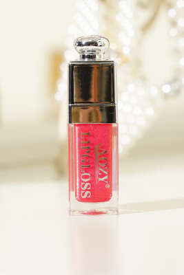 Aozy Dudak Parlatıcısı Asorti 5