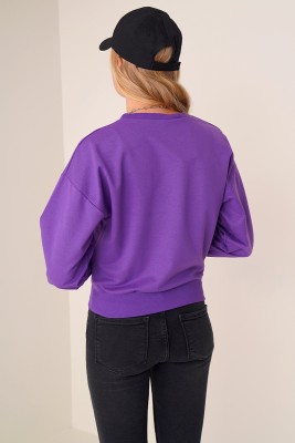 Basic Model Cepli Mor Sweatshirt - Thumbnail