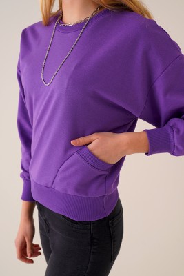 Basic Model Cepli Mor Sweatshirt - Thumbnail
