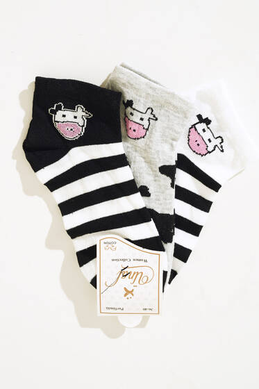 Bayan Patik Üçlü Çorap Serisi Asorti 2 - KADIN ÇORAP