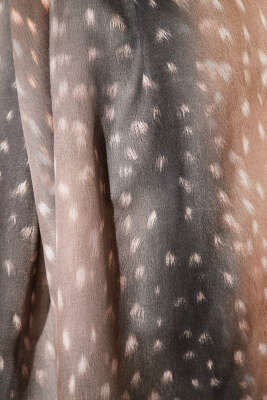 Ceylan Gözü Soft Şal Bej - Başörtüsü