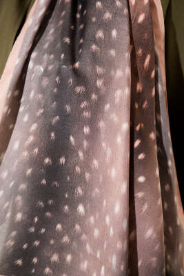 Ceylan Gözü Soft Şal Latte - Başörtüsü