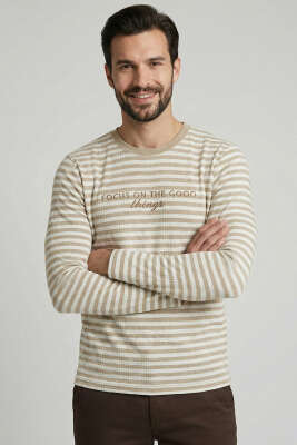 Çizgili Önü Baskılı Erkek Sweatshirt Taş 