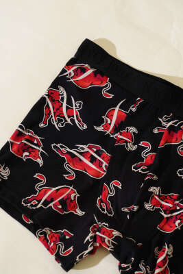 Empirme Erkek Boxer Asorti 1 - Yılın Fırsatı