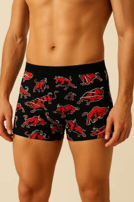 Empirme Erkek Boxer Asorti 1 