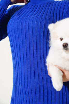 Fitilli Yarım Balıkçı Triko Elbise Saks - Tesettür Elbise