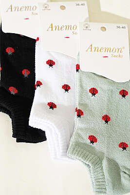 Kadın 3'lü Desenli Penye Patik Çorap Asorti 10 - Babet / Patik Çorap