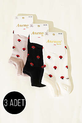 Kadın 3'lü Desenli Penye Patik Çorap Asorti 9 
