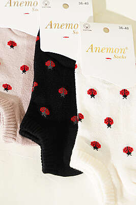 Kadın 3'lü Desenli Penye Patik Çorap Asorti 9 - Babet / Patik Çorap