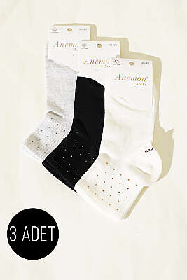 Kadın 3'lü Taş Detaylı Kısa Konç Çorap Asorti 20 