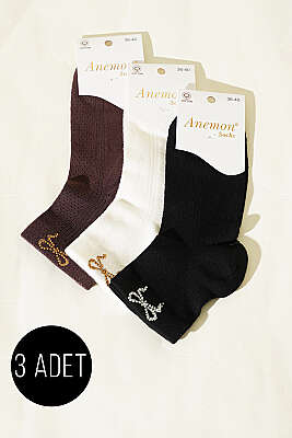 Kadın 3'lü Taş Detaylı Kısa Konç Çorap Asorti 21 