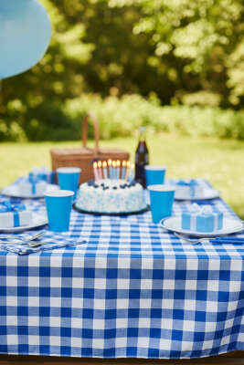 Kareli Masa Örtüsü Mavi - MAHİR HAVLU