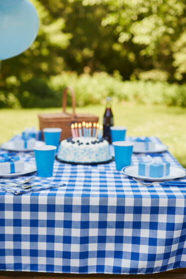 Kareli Masa Örtüsü Mavi - Masa Örtüsü