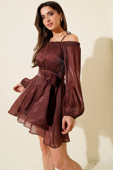 Kayık Yaka Transparan Şifon Mini Elbise Gül Kurusu - Kadın Giyim Modelleri