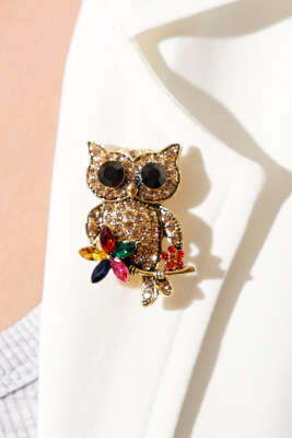 Renkli Kristal Taşlı Baykuş Figürlü Broş Gold - KONYALI BİJUTERİ