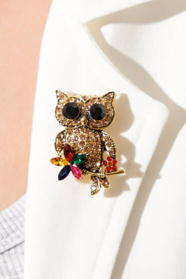 Renkli Kristal Taşlı Baykuş Figürlü Broş Gold - Broş