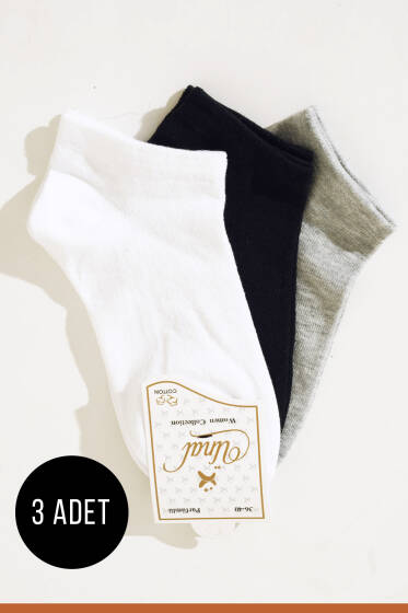 Renkli Seri Üçlü Patik Çorap Asorti 1 - KADIN ÇORAP