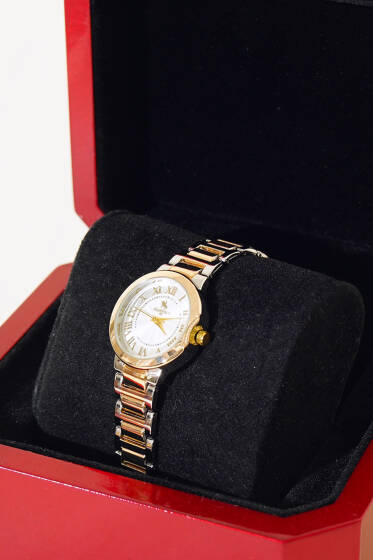 Romen Rakamlı Taşlı Kadın Kol Saati Gümüş - Saat