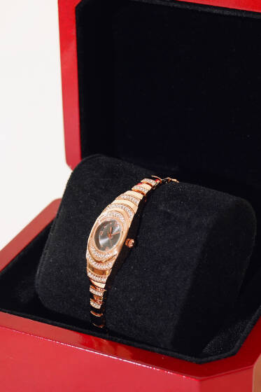 	 Taş Süslemeli Oval Çerçeveli Kadın Kol Saati Rose - Saat